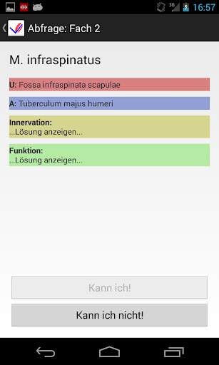 Muskel Lernkartei lite screenshot 4