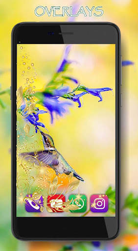 Colibri Free LWP screenshot 3