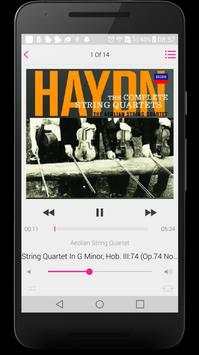 iMusic - Perfect Music Player screenshot 5