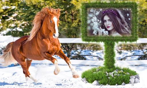 Horse Photo Frames screenshot 6