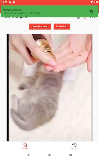 Video Pinterest Downloader Fast Easy One Click screenshot 3