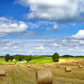 Farming Wallpapers icon