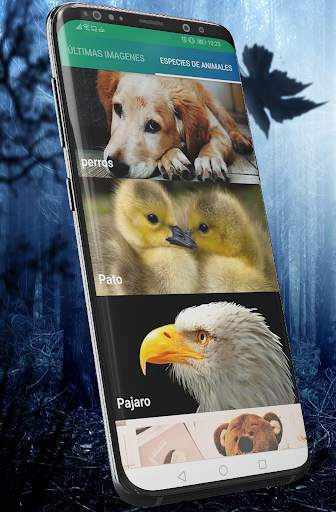 Fondos de Animales screenshot 1