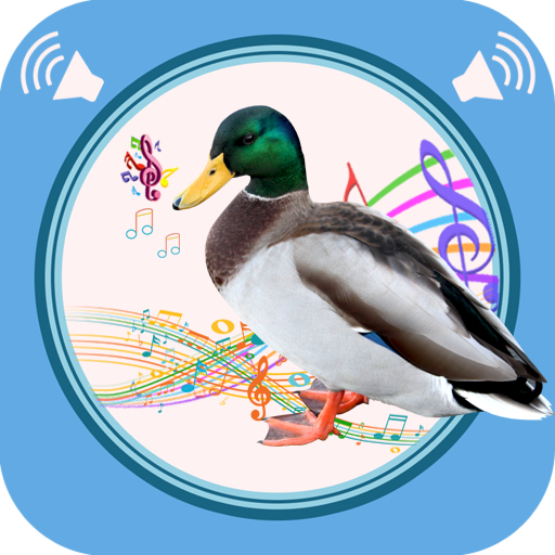 Duck Sounds أيقونة