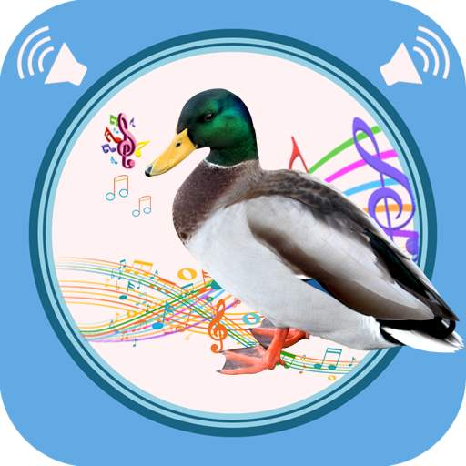 Duck Sounds 1.0.4
