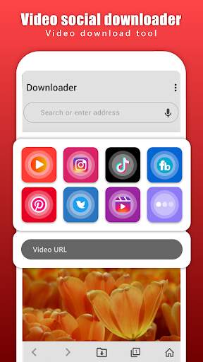 Video social downloader screenshot 1