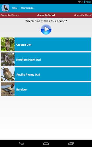 Birds of Prey Sounds Free screenshot 13