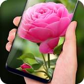 Pink Rose Live Wallpaper HD Phone Background 1.1