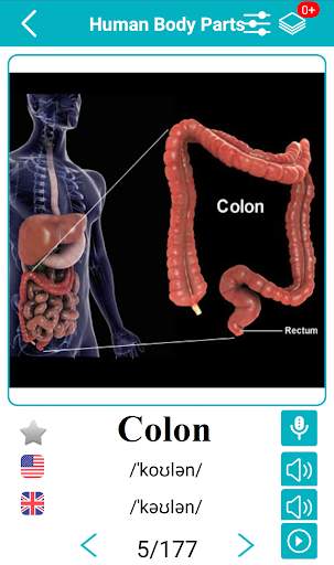 Body Parts Name and Pictures screenshot 8