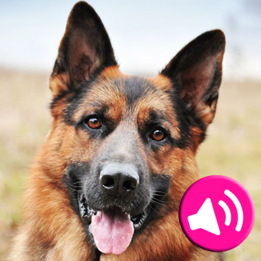 Animal sounds icon