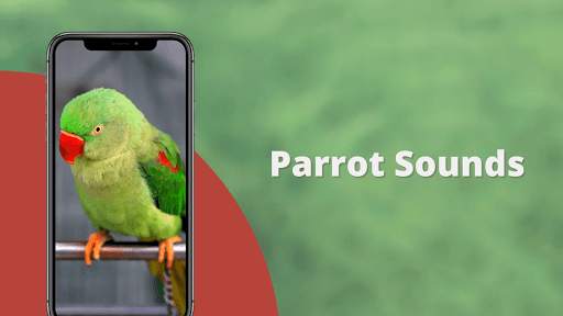 Parrot Sounds screenshot 1