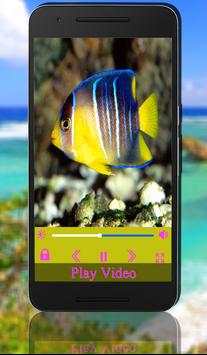max HD Player screenshot 6
