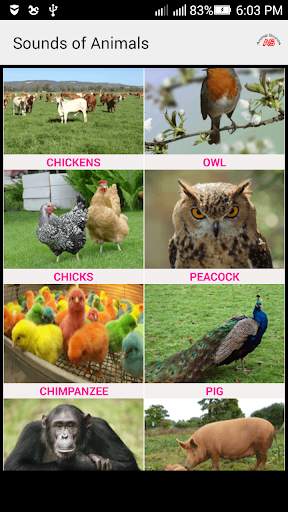 Sounds of Animals and Birds screenshot 5