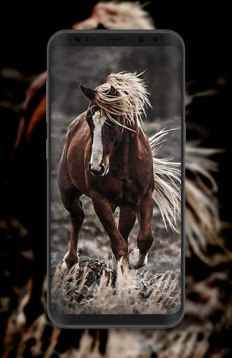 Horse Wallpaper HD Offline screenshot 5