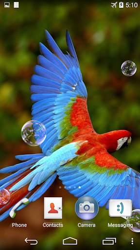 Parrots Live Wallpaper screenshot 3