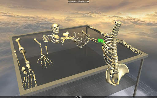 Body Disassembly 3D screenshot 3