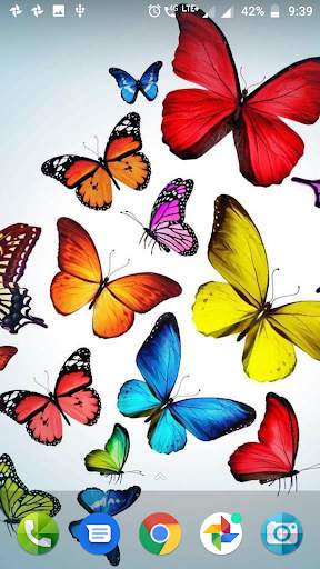 Butterfly Wallpaper HD screenshot 2