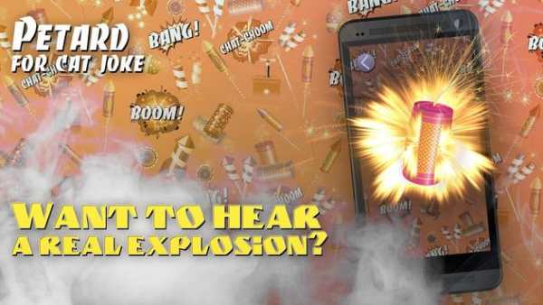 Petard for cat joke screenshot 1