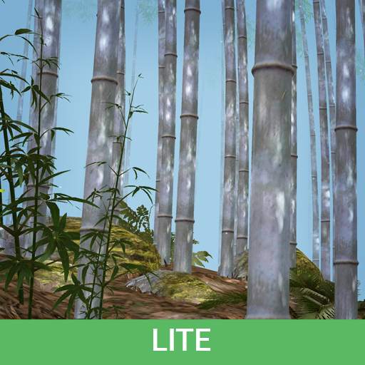 Bamboo Forest 3D Live Wallpaper Lite 3.4