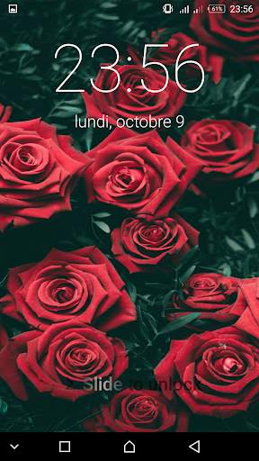 Roses Flowers Spring Lock Screen screenshot 7
