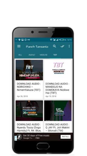 Punch Tanzania1 screenshot 4
