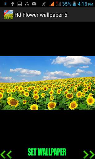 Hd Flower Wallpaper screenshot 1