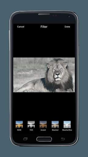 Photo Editor | create edit & design photos & memes screenshot 1