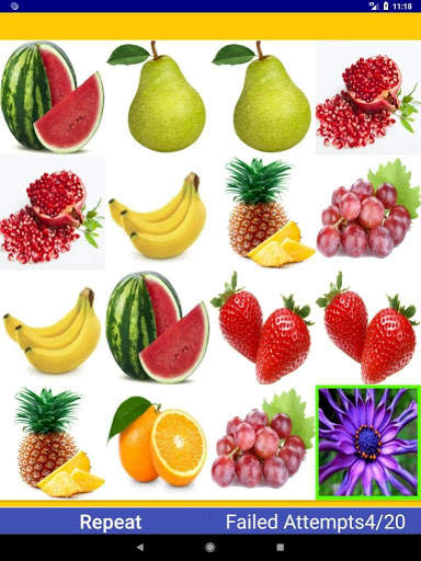 Find the matched picture screenshot 1