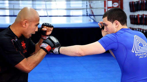 MMA Fighting techniques screenshot 1