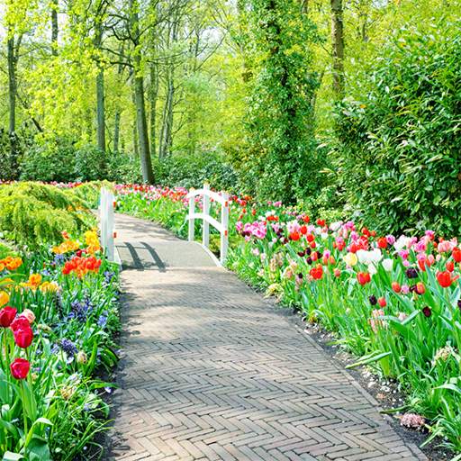 Spring Garden Wallpaper 1.0