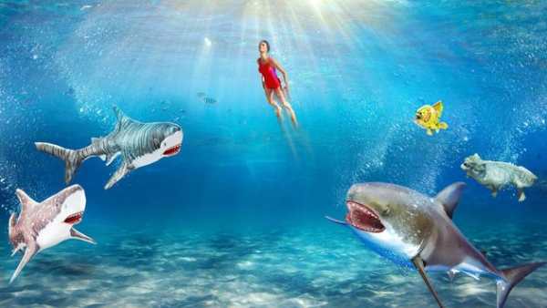Shark 3D Hunting Games 2018 screenshot 6