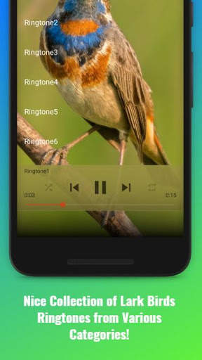 Lark Birds Sounds скриншот 2