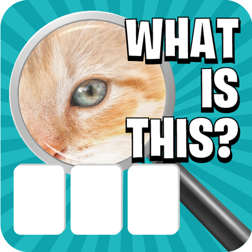 Zoom Pic: Close Up Picture Quiz 2021 иконка