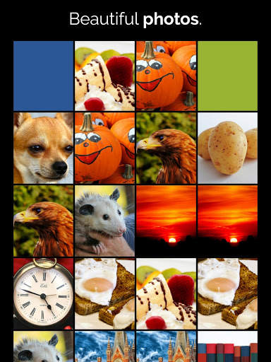 CAR & ANIMAL MEMORY FREE: COLORFUL GAME FOR ADULTS स्क्रीनशॉट 8