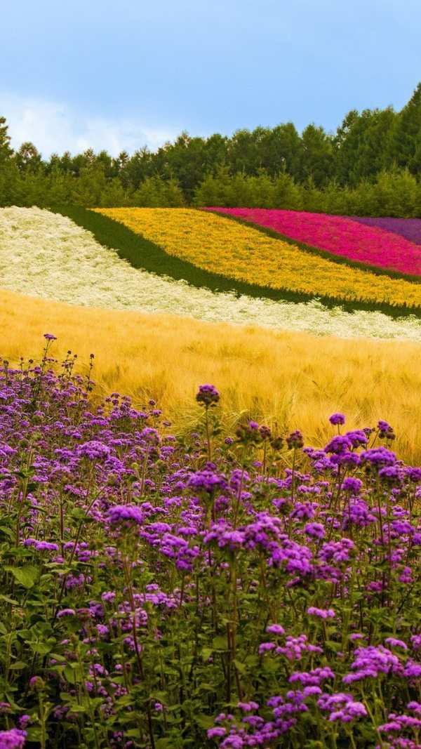 Garden wallpaper screenshot 2