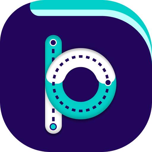 BitPay 3.3