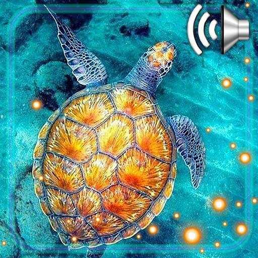 Turtles Sea Live Wallpaper 1.2