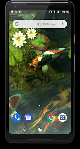 Koi Fish Video Live Wallpaper screenshot 2