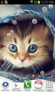 Kitty Cat Live Wallpaper 4 تصوير الشاشة