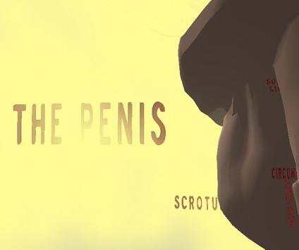 Penis 3D screenshot 1