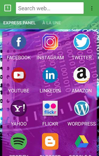 NPI BROWSER screenshot 2