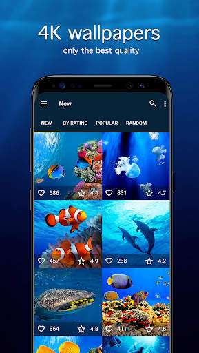 Underwater Wallpapers 4K screenshot 2