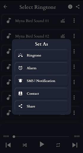 Mynas Bird Sounds screenshot 4