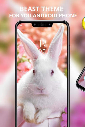 Flower And White Rabbit Have A Spirit theme screenshot 1