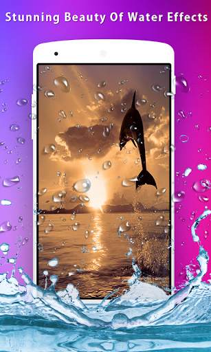 Dolphins Live Wallpaper screenshot 7