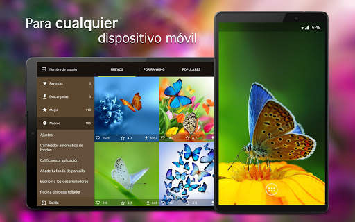 Fondos de pantalla con mariposas 4K screenshot 5
