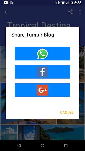 Photo & Video Explorer and Downloader for Tumblr screenshot 8