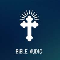 Nigerian bible Audio : Holy Bible English icon