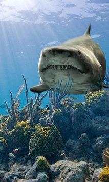 Fingerprint app lock and call lock theme SHARK screenshot 7