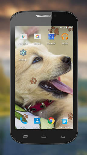 Puppy Live Wallpapers screenshot 3